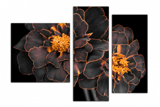 Модульная картина Темные цветы